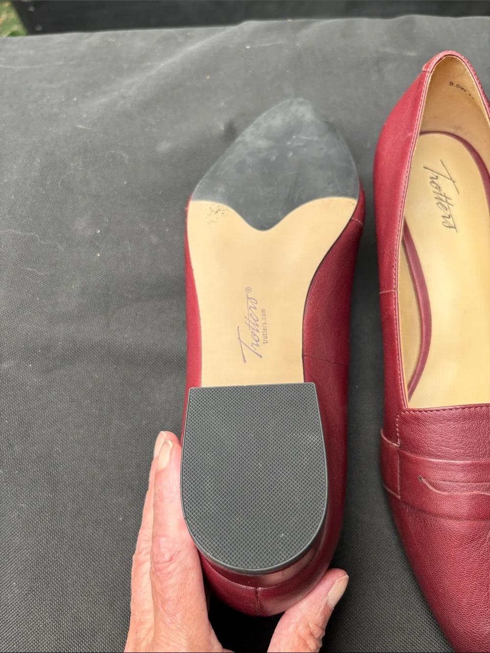 Trotters sleek pointed